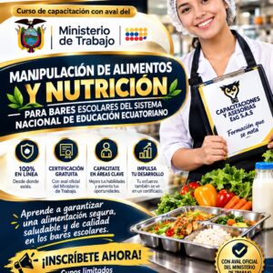Modalidad 100 % virtual